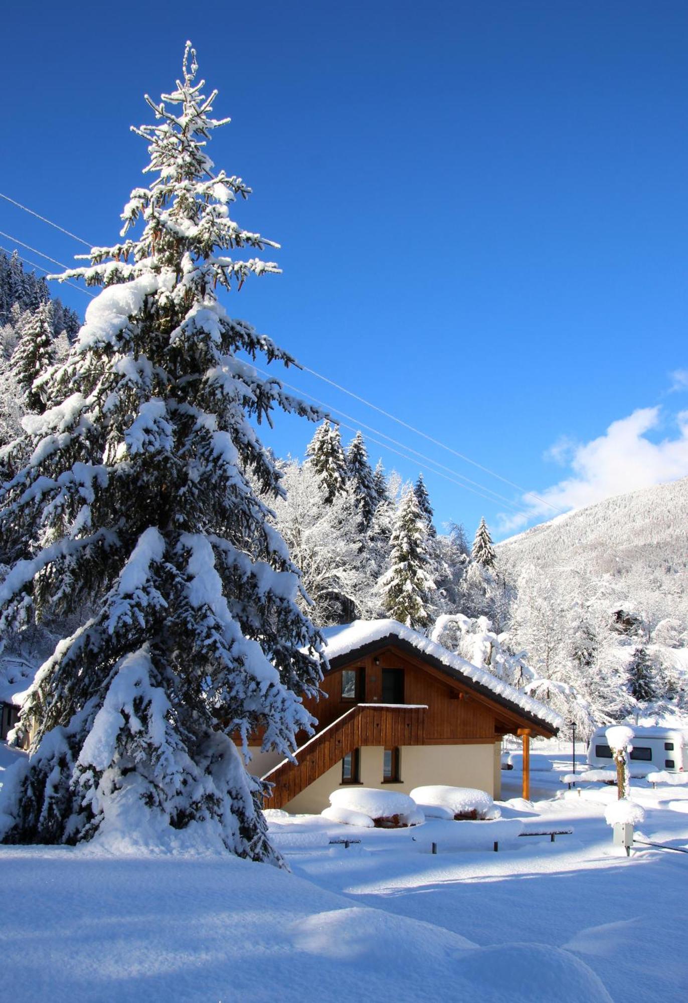 Chalet Presanella Temù Dış mekan fotoğraf
