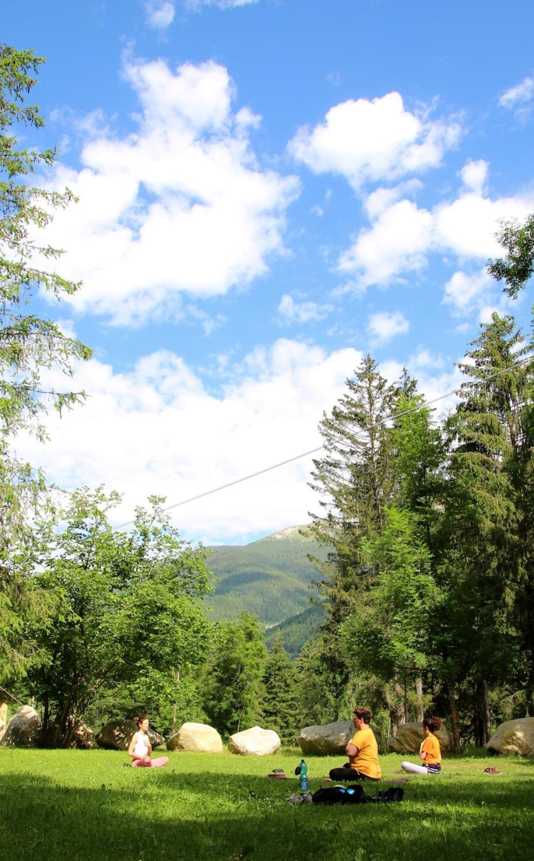 Chalet Presanella Temù Dış mekan fotoğraf